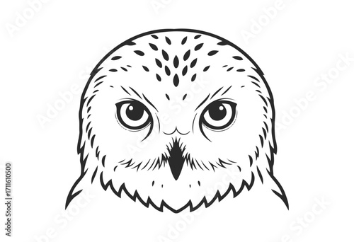 Black and white owl illustration with detailed eyes and feather patterns - stock vector
