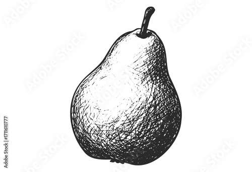 Detailed black and white sketch of a pear - stock vector