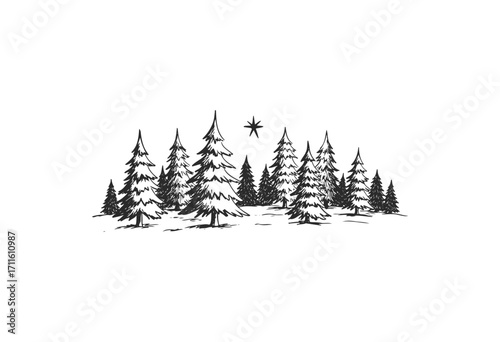 Black and white winter pine forest with snow and starry sky - stock vector