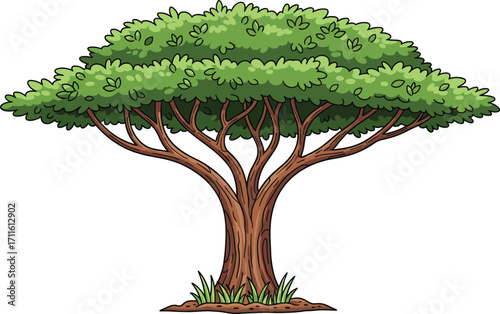 Stylized large deciduous tree with a wide, spreading crown and lush green foliage, perfect for nature, landscape, environment, and outdoor-themed designs and illustrations.