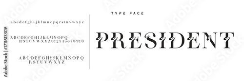 Elegant Font Uppercase Lowercase and Number. Classic Lettering Minimal Fashion Designs. Typography modern serif fonts regular decorative vintage concept. vector illustration