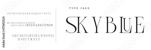 Elegant Font Uppercase Lowercase and Number. Classic Lettering Minimal Fashion Designs. Typography modern serif fonts regular decorative vintage concept. vector illustration