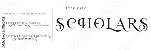 Elegant Font Uppercase Lowercase and Number. Classic Lettering Minimal Fashion Designs. Typography modern serif fonts regular decorative vintage concept. vector illustration