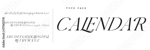 Elegant Font Uppercase Lowercase and Number. Classic Lettering Minimal Fashion Designs. Typography modern serif fonts regular decorative vintage concept. vector illustration