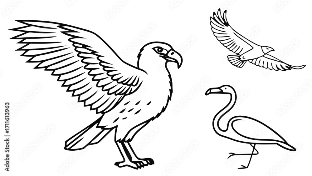 Fototapeta premium set of vector birds