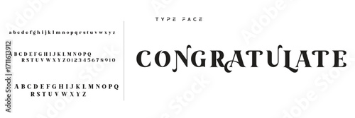 Elegant Font Uppercase Lowercase and Number. Classic Lettering Minimal Fashion Designs. Typography modern serif fonts regular decorative vintage concept. vector illustration