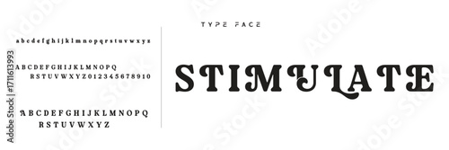 Elegant Font Uppercase Lowercase and Number. Classic Lettering Minimal Fashion Designs. Typography modern serif fonts regular decorative vintage concept. vector illustration