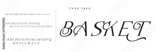 Elegant Font Uppercase Lowercase and Number. Classic Lettering Minimal Fashion Designs. Typography modern serif fonts regular decorative vintage concept. vector illustration