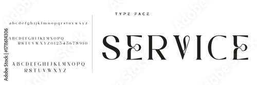 Elegant Font Uppercase Lowercase and Number. Classic Lettering Minimal Fashion Designs. Typography modern serif fonts regular decorative vintage concept. vector illustration