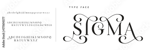 Elegant Font Uppercase Lowercase and Number. Classic Lettering Minimal Fashion Designs. Typography modern serif fonts regular decorative vintage concept. vector illustration