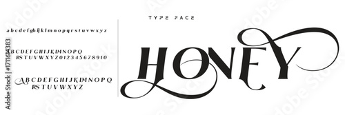 Elegant Font Uppercase Lowercase and Number. Classic Lettering Minimal Fashion Designs. Typography modern serif fonts regular decorative vintage concept. vector illustration