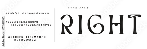 Elegant Font Uppercase Lowercase and Number. Classic Lettering Minimal Fashion Designs. Typography modern serif fonts regular decorative vintage concept. vector illustration