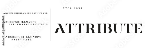 Elegant Font Uppercase Lowercase and Number. Classic Lettering Minimal Fashion Designs. Typography modern serif fonts regular decorative vintage concept. vector illustration