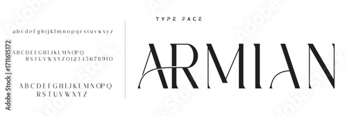 Elegant Font Uppercase Lowercase and Number. Classic Lettering Minimal Fashion Designs. Typography modern serif fonts regular decorative vintage concept. vector illustration