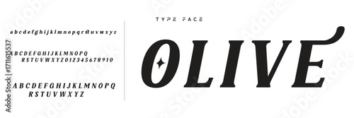 Elegant Font Uppercase Lowercase and Number. Classic Lettering Minimal Fashion Designs. Typography modern serif fonts regular decorative vintage concept. vector illustration