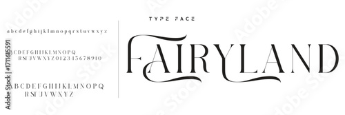 Elegant Font Uppercase Lowercase and Number. Classic Lettering Minimal Fashion Designs. Typography modern serif fonts regular decorative vintage concept. vector illustration