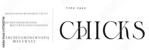 Lettering Minimalist Fashion. Elegant alphabet letters serif font and number. Typography fonts regular uppercase, lowercase.