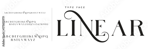 Lettering Minimalist Fashion. Elegant alphabet letters serif font and number. Typography fonts regular uppercase, lowercase.