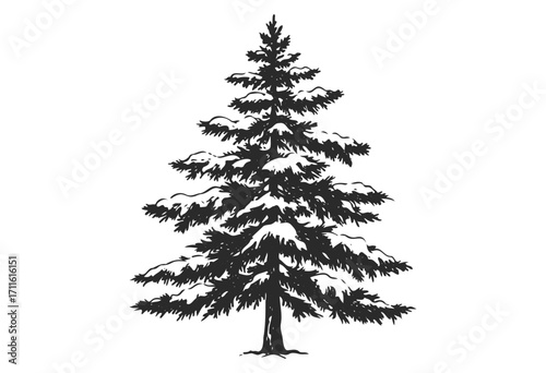 Black and white evergreen tree covered in snow illustration - stock vector