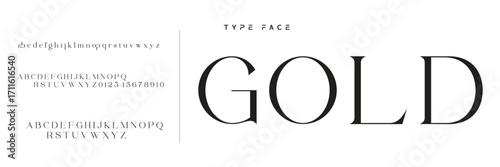 Lettering Minimalist Fashion. Elegant alphabet letters serif font and number. Typography fonts regular uppercase, lowercase.