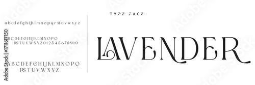 Lettering Minimalist Fashion. Elegant alphabet letters serif font and number. Typography fonts regular uppercase, lowercase.