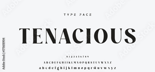 Lettering Minimalist Fashion. Elegant alphabet letters serif font and number. Typography fonts regular uppercase, lowercase.