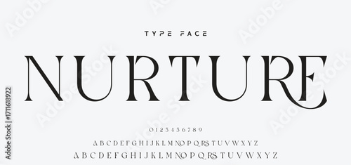 Lettering Minimalist Fashion. Elegant alphabet letters serif font and number. Typography fonts regular uppercase, lowercase.