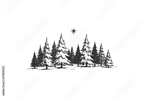 Snowy forest with evergreen trees and star in night sky - stock vector
