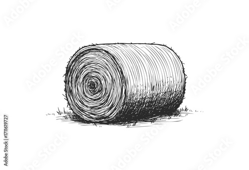 Detailed sketch of a hay bale on grass - stock vector