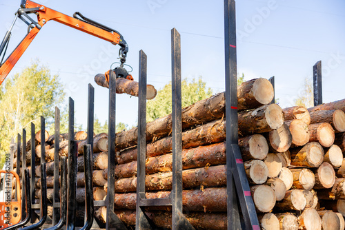 Logging Operations: Loading Logs onto Hydraulic Machinery on a Logging Truck