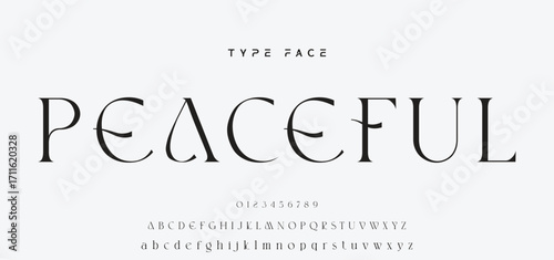 Elegant Font Uppercase and Number. Classic Lettering Minimal Fashion Designs. Typography modern serif fonts regular decorative vintage concept. vector illustration.
