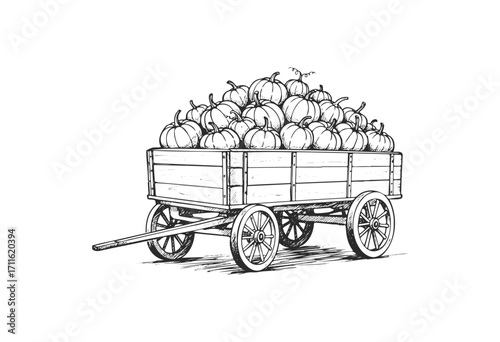 Sketch of wooden cart filled with pumpkins - stock vector