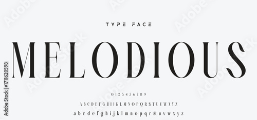 Elegant Font Uppercase and Number. Classic Lettering Minimal Fashion Designs. Typography modern serif fonts regular decorative vintage concept. vector illustration.