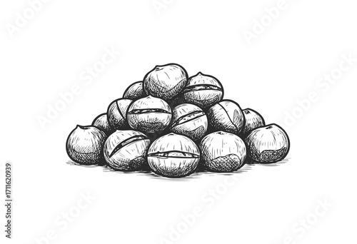 Hand-drawn macadamia nuts pile - stock vector
