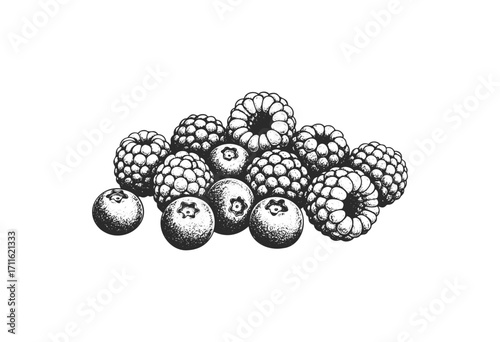 Detailed black and white illustration of raspberries and blueberries cluster - stock vector