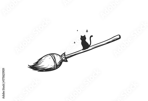 Silhouette of cat on flying broomstick with sparkles - stock vector