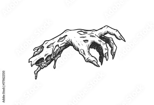 Illustrated skeletal zombie hand with claws - stock vector