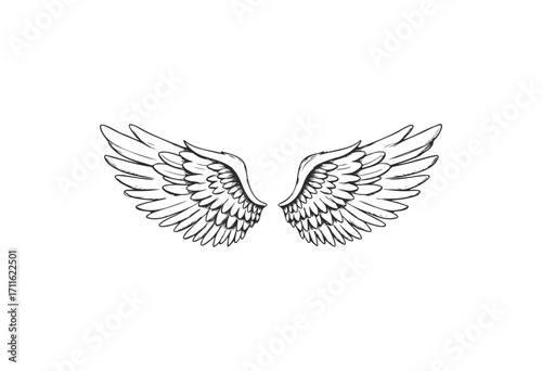 Intricate angel wings sketch - detailed black and white feathered design - stock vector
