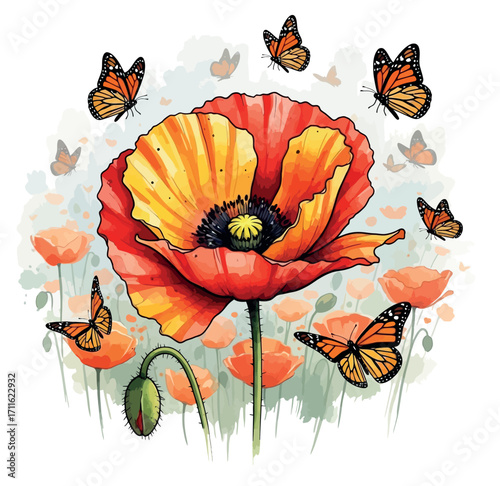Poppy Flower With Butterfly