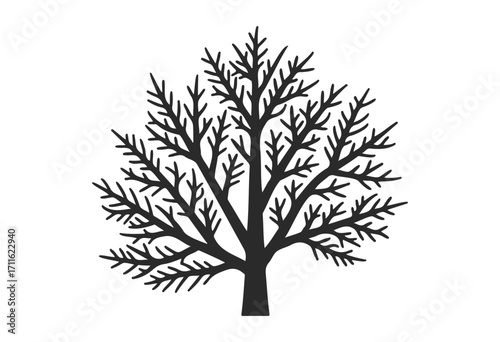 Silhouette of a leafless tree with branches spreading in all directions - stock vector