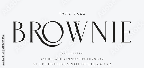 Elegant wedding alphabet letters font and number. Typography luxury classic lettering serif fonts decorative vintage retro concept. vector illustration.