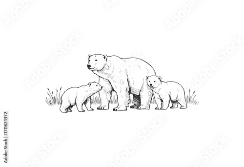 Polar bear family sketch: mother and cubs in natural habitat - stock vector