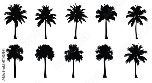 Elegant black palm tree silhouettes convey tropical vacation vibes for design elements
