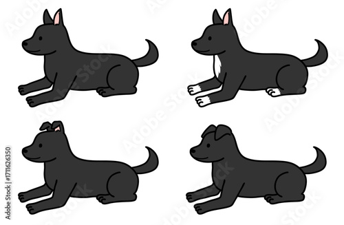 犬・保護犬・雑種犬／黒い犬