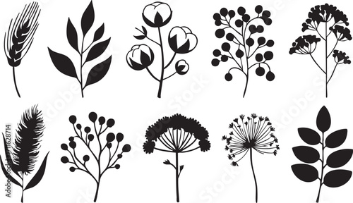 Botanical vector pack: floral silhouettes, leaves, berries, and cotton plant illustrations eps