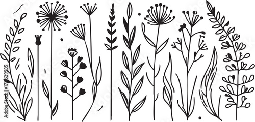 Vector floral design: black and white botanical illustration set for crafts and graphic design eps silhouette