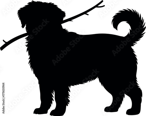 Fluffy dog silhouette playful fetch stick outdoors vector