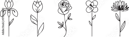 Flower line art vector: iris, tulip, rose, clover, and aster outlines eps silhouette