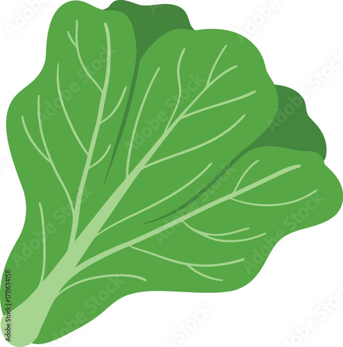 Vibrant green leafy vegetable isolated healthy food ingredient vector