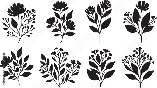 Black and white floral vector set: botanical flower illustrations eps silhouette